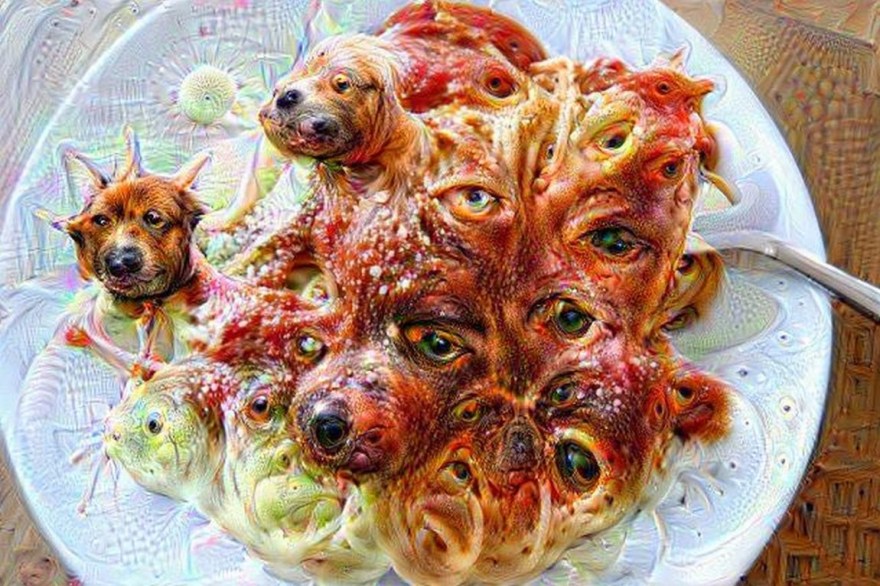 dog_spaghetti